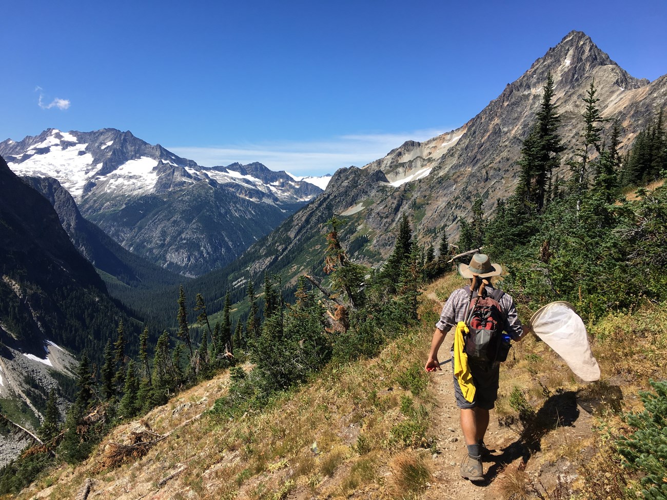 hiker holding butterfly net on trail