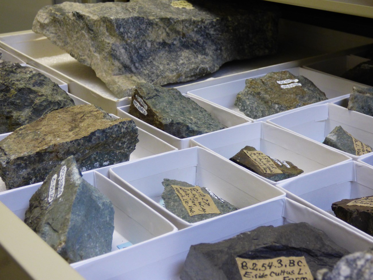 Rock samples in white boxes