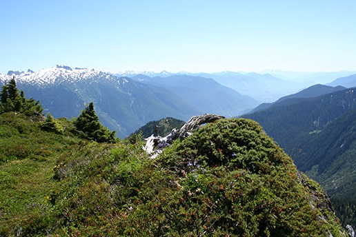 Views from Thornton Lakes and Trapper's Peak. Photo Credit: NPS/NOCA Staff