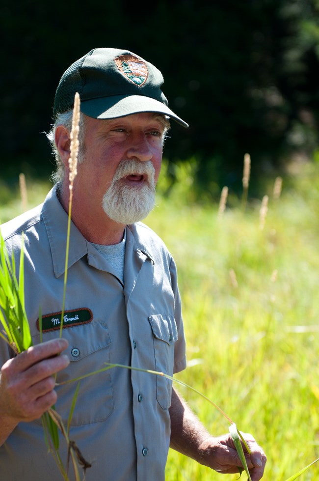 A man in uniform is holding up grass