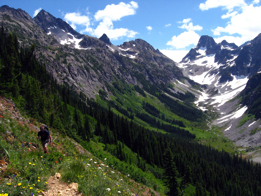 Hiking through wildflower meadows with Fisher Peak beyond. NPS/Autumn Carlsen