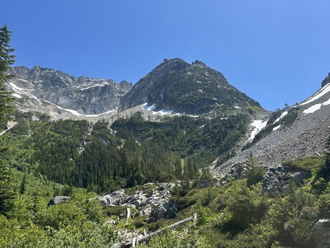 Park Creek Pass July 7