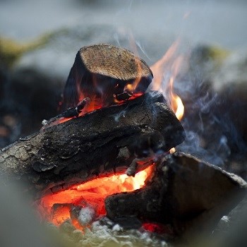 Close-up of burning campfire