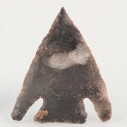 Archeology Collection