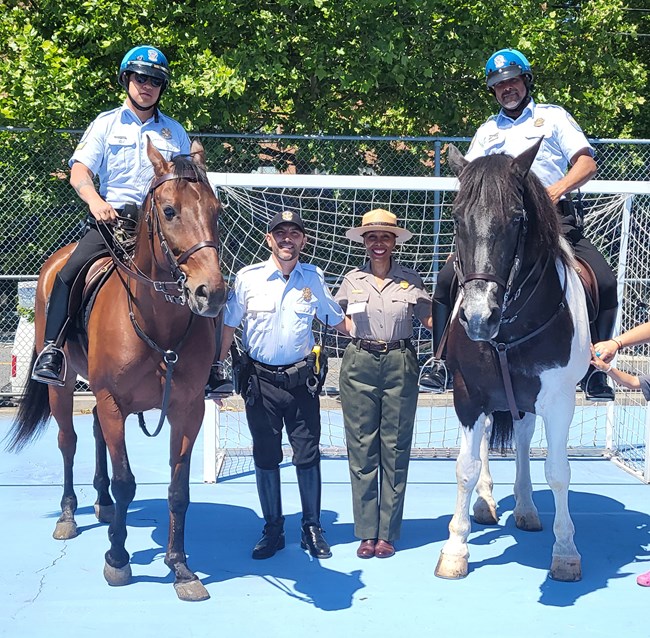 A park ranger and a US Park Police officer stand between two USPP officers on horseback.