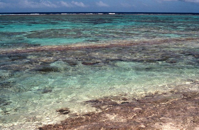 Outdoors; closeup of clear water over coral reef.