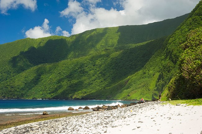 Outdoors; white sandy beach in foreground with two hikers in distance, steep green cliffs in background.