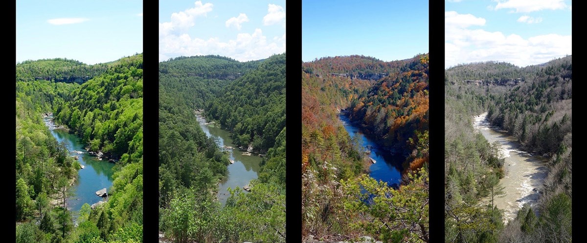 four images sit side by side showing the river flowing through a gorge during the four seasons of the year