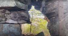A rock arch with bright green leafy trees on the other side of the opening.
