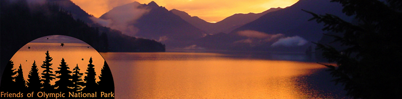 Friends of Olympic National Park Banner