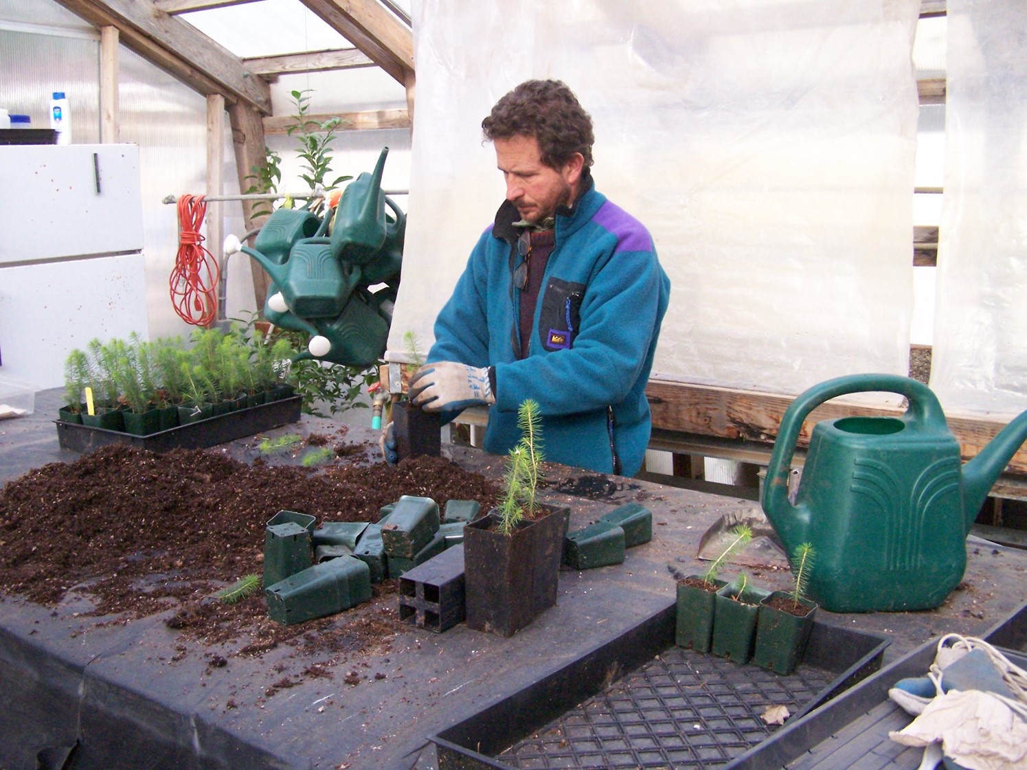 A man in a jacket and gloves is potting a plant in a container with soil at the Native Plant nursery.