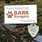 Bark Ranger card and badge