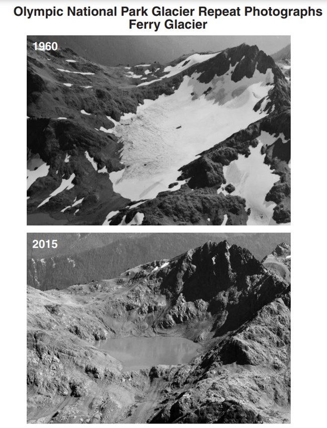 Text: Olympic National Park Glacier Repeat Photographs Ferry Glacier. Two photos of the same mountain peak. In one, labelled 1960, the basin below the peak is full of snow. In the second, labelled 2015, the snow is gone. A pool of water remains.