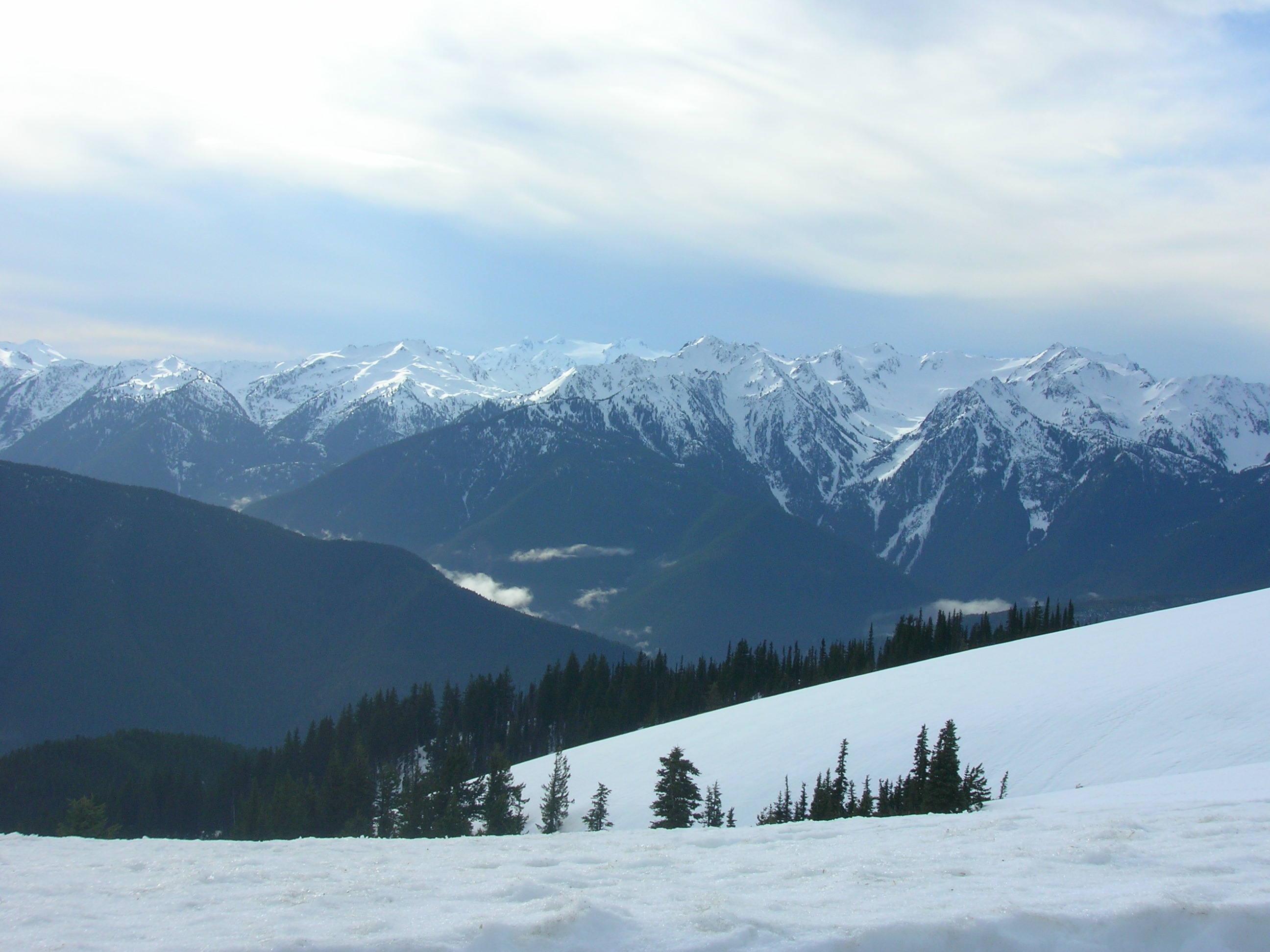 A view of a snowy mountain range on a sunny winter's day. In the foreground is a snowy, mostly treeless hillside.