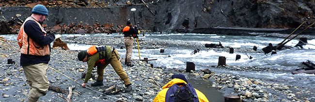 Four geomorphologists study sediment in the Elwha River.