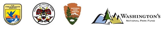 Logos of the U.S. Forest Service, Lower Elwha Klallam Tribe, National Park Service, and Wachington's National Park Fund.