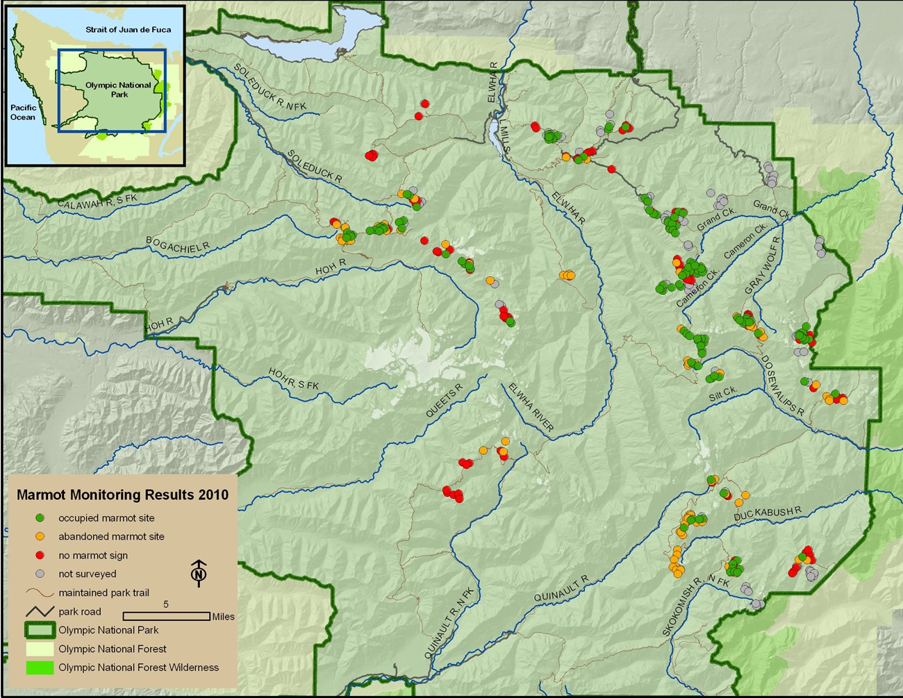 Map of Olympic National Park with marmot survey area results