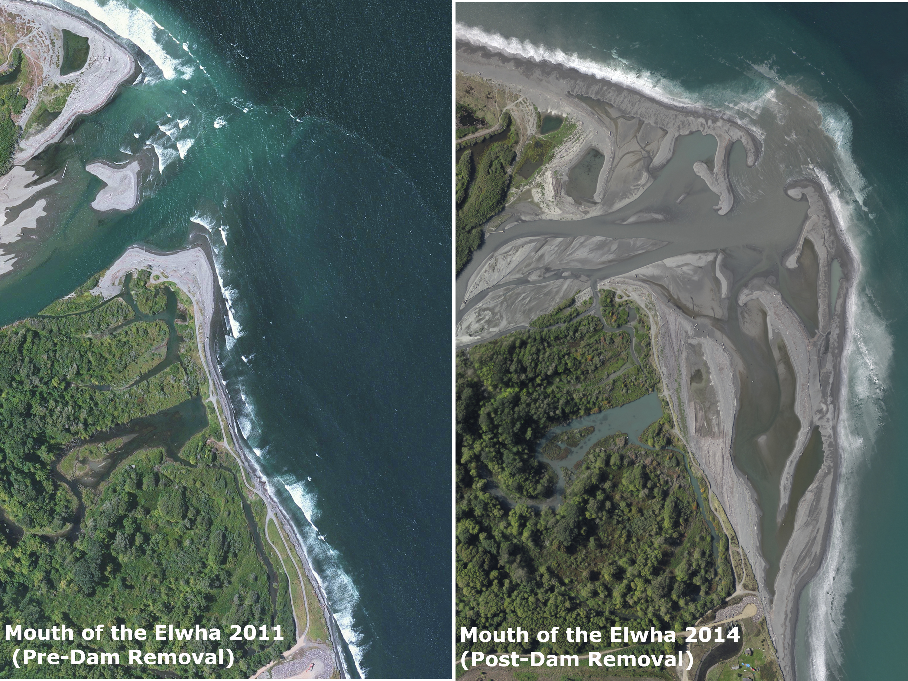 Change in the mouth of the Elwha River following dam removal.