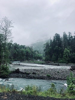 A foggy day on the Elwha River.