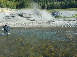 A fisheries biologist points to a Chinook redd observed above Glines Canyon Dam September 15.
