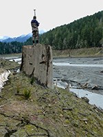 A scientist stands on a stump along a riverbank holding a piece of equipment.