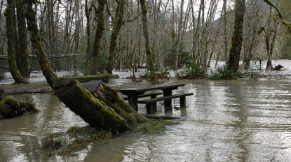 A flood in Altair campground
