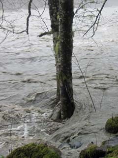 The Elwha River during a storm