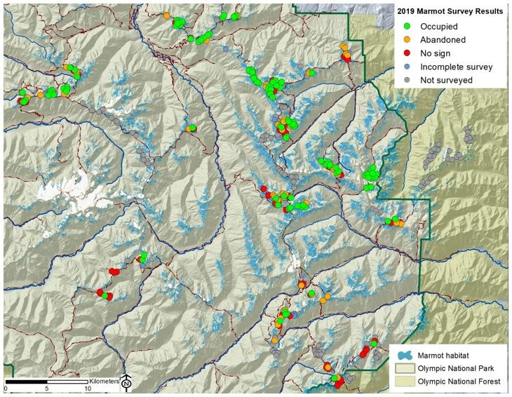 2019 Survey Results map showing signs of marmot around Olympic National Park