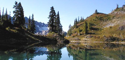 narrow trees and open slope reflected in still mountain lake water with snowy peak in background