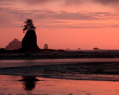 Underneath a pink and orange sunset, six sea stacks can be seen. The stone tower in the foreground bears several evergreen trees on top.