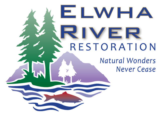 transparent png - logo lrg col