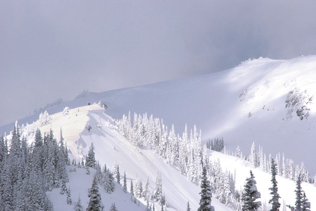 Snow covered mountains with trees and snowshoers standing back from an unstable snow cornice.