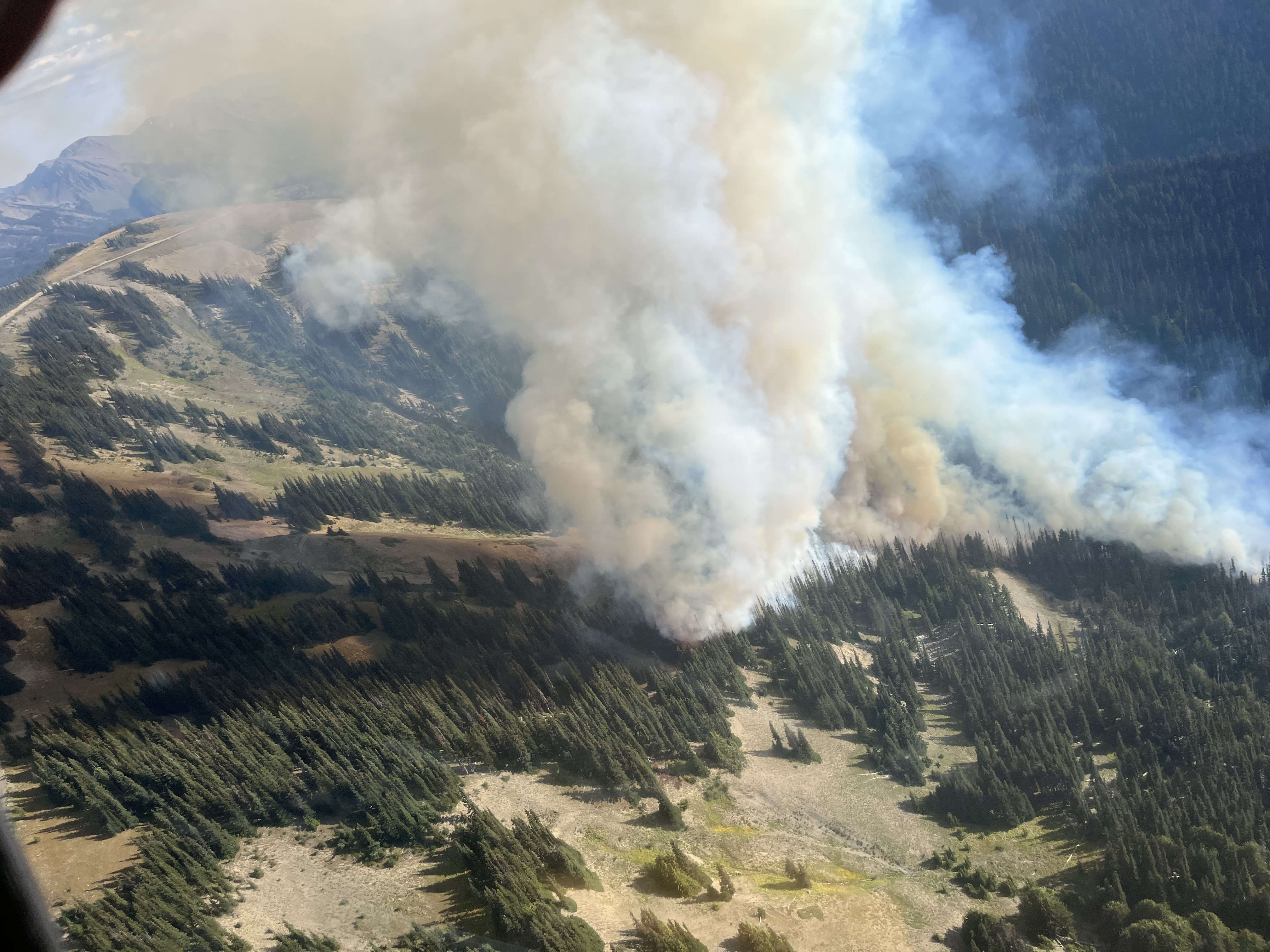 A very large smoke plume builds above a 60 acre wildfire