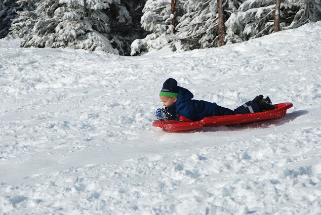 A child slides on snow on a red plastic sled, with snow-covered trees in the background.