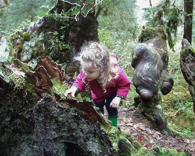 A young child explores in the moss and trees