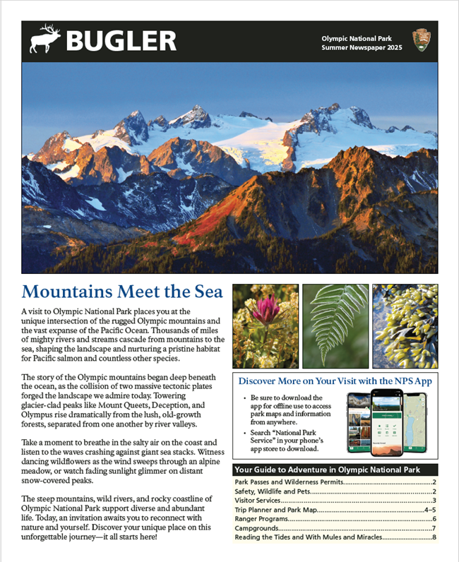 The front cover of the park newspaper. Full image and text at the link.