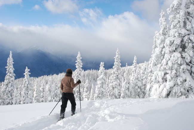 Person in brown jacket and black pants snowshoeing with views of snow-covered trees, mountains, and blue sky.