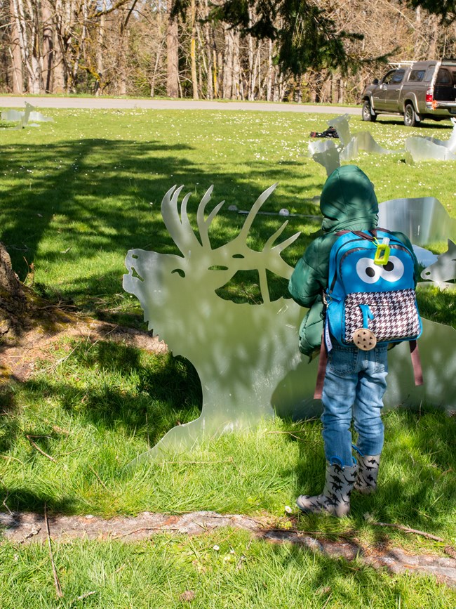 A child wearing a backpack looks at a metal sillhouette of an elk in a field of similar sculptures.