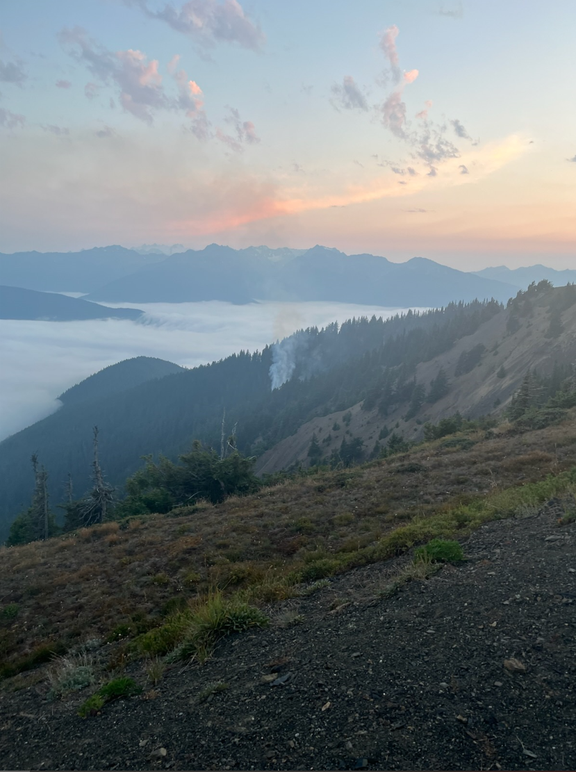 View of lightning-caused Hurricane Fire as seen from above at Hurricane Ridge