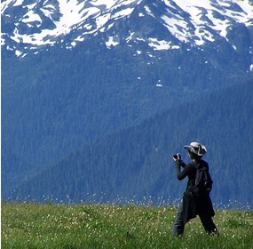 person taking picture in mountain meadow