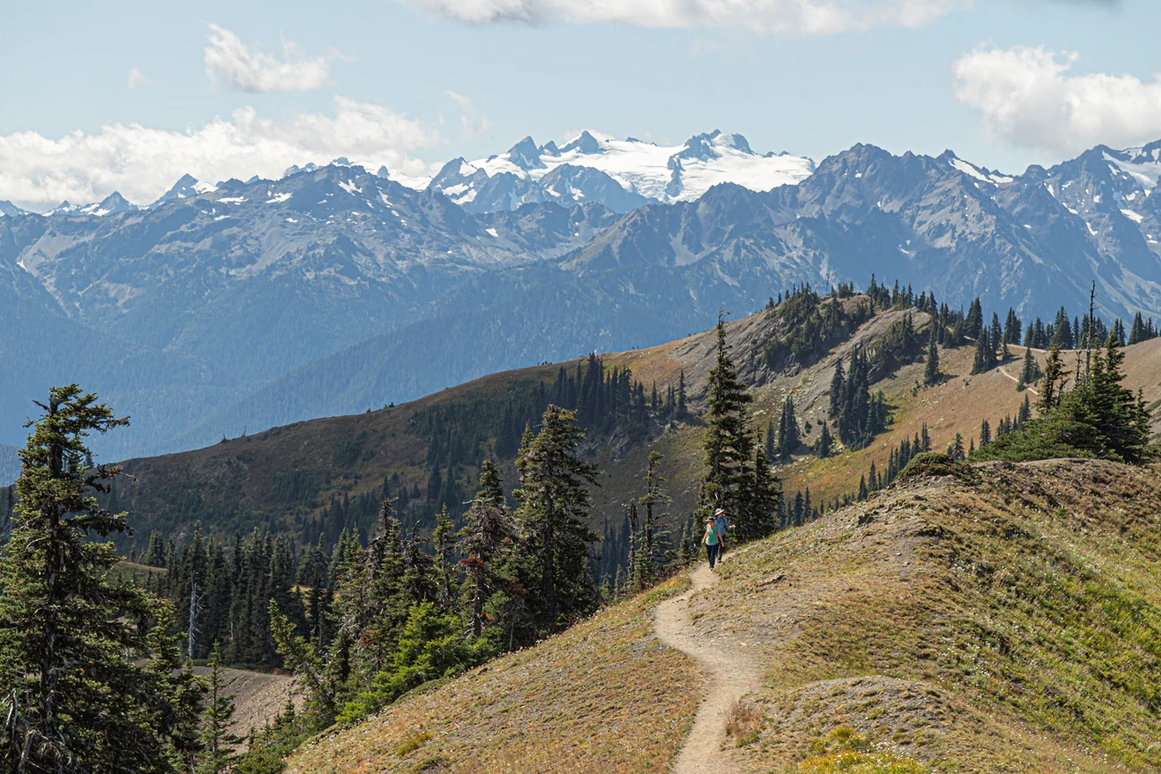 High Ridge Hurricane Ridge Hurricane Ridge Day Lodge Reconstruction Project - Olympic National ...