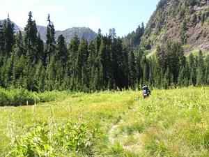 A backpacker walks down a trail through a meadow heading toward a forest with mountains rising up behind the trees.