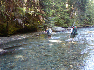 Two backpackers ford the Elwha River, both aided with trekking poles. The water is right around knee-height for both hikers.