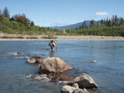 A hiker fords the Queets River, aided by trekking poles.