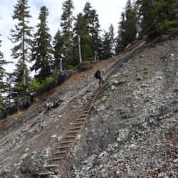 A backpacker descending a rope ladder at the "avalanche chute" below the Glacier Meadows camp area.