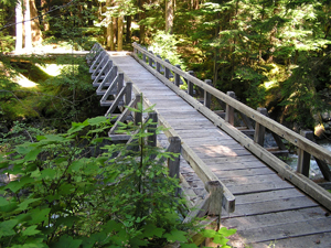 A wooden bridge that spans over a ravine at the Hayes River.