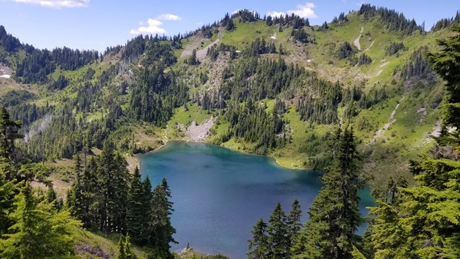 A sapphire blue mountain lake surrounded by steep subalpine meadows and forest.