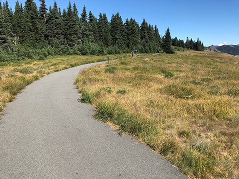 The Big Meadow Trail looking east