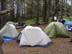Several tents set up near each other in a wilderness campsite.