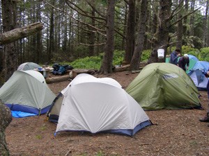 Group Camp